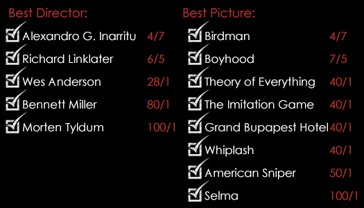 Oscars Best Director Best Picture  2015